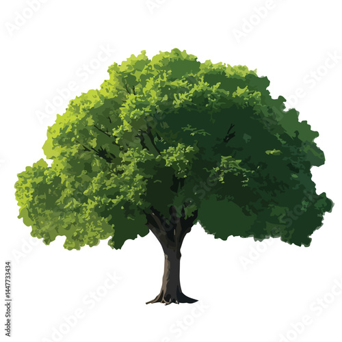 Vector watercolor green tree or forest side view isolated on white background for landscape and architecture drawing,elements for environment or and garden,Shrub for section