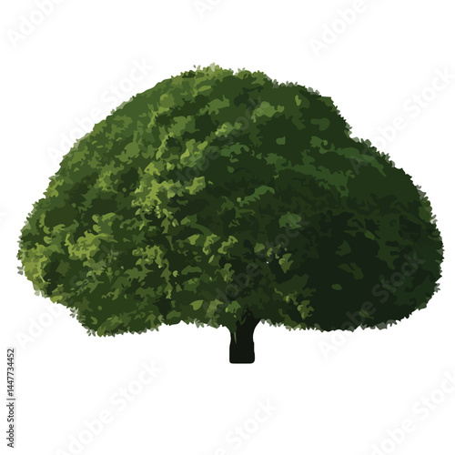 Vector watercolor green tree or forest side view isolated on white background for landscape and architecture drawing,elements for environment or and garden,Shrub for section
