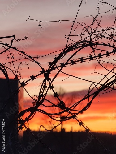 War in Ukraine