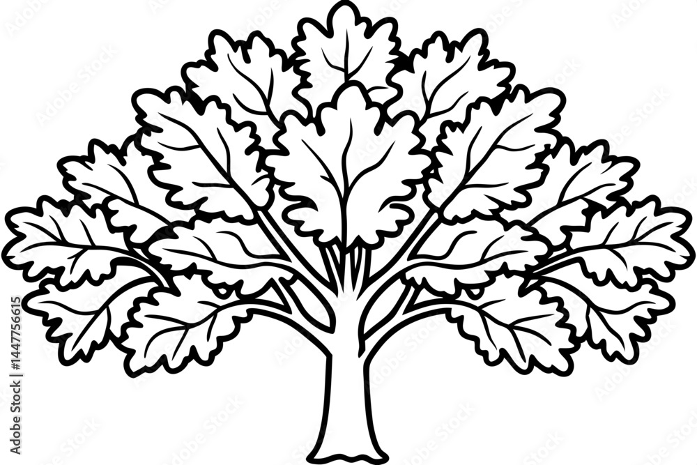 Fototapeta premium Rustic Oak Tree Outline Illustrations