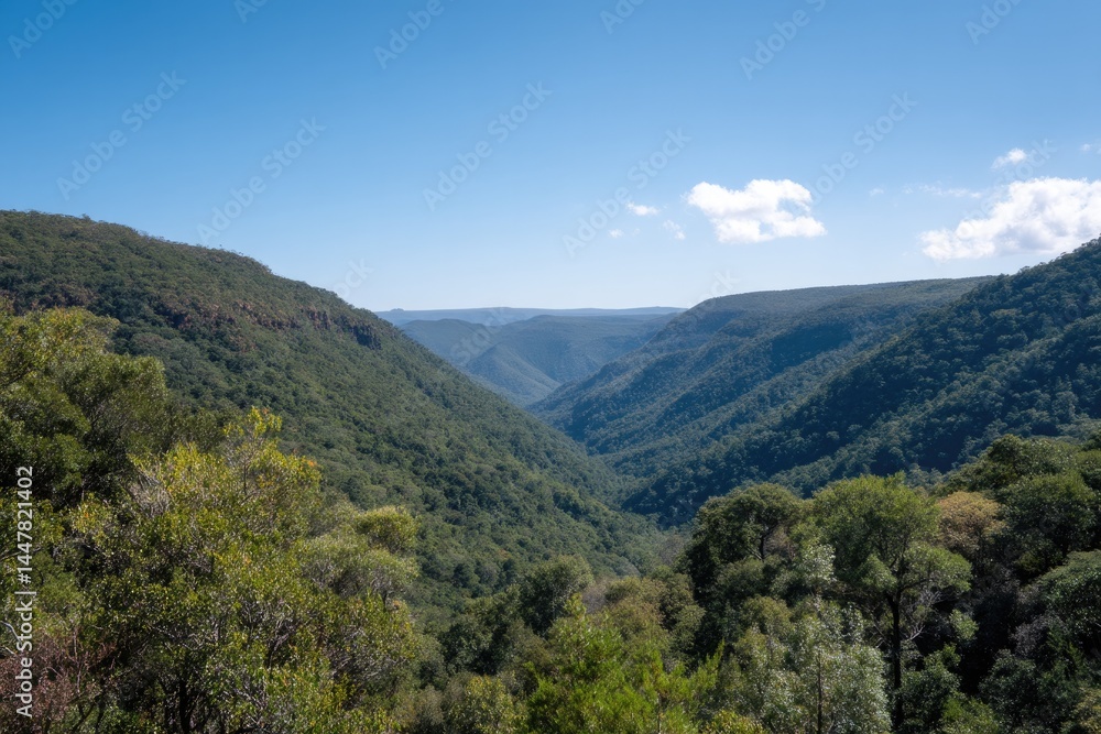 greenery of vast national park under clear blue sky greenery of vast national park under clear blue sky