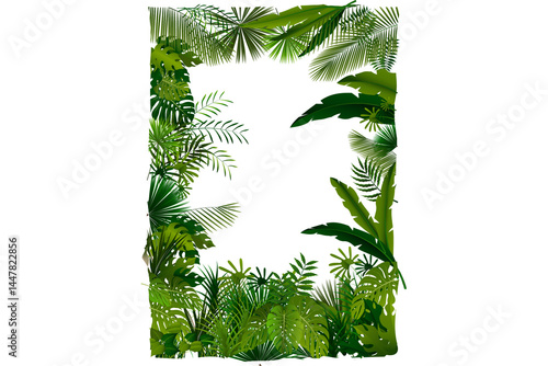 Tropical forest Euclidean Tree Illustration, trees, illustration of a leaves frame, leaf, tree Branch png
