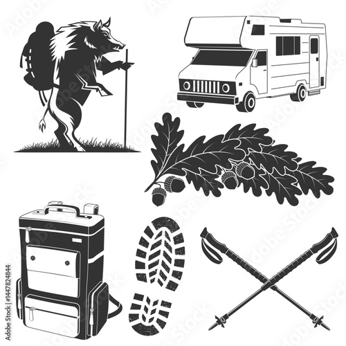 Set of camping and hiking elements. Vector. Hiker wild boar with backpack, backpack, camper rv, hiking poles, hiking boot print, footprint, oak leaf and acorns. Design element for label, badge, emblem