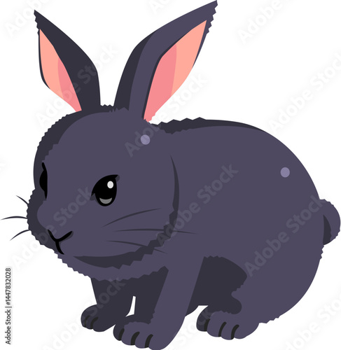 黒うさぎ