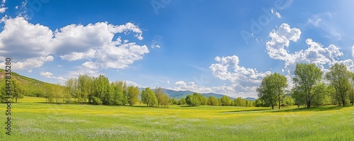 Idyllic mountain landscape with fresh green meadows and blooming wildflowers. Idyllic nature countryside view, rural outdoor natural view. idyllic banner nature, panoramic spring summer scenery Pro Ph
