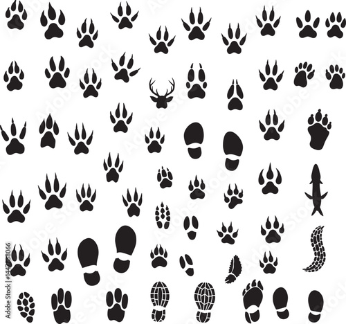 Animal Footprint Silhouette Icon Set Diverse Paw, Hoof, and Track Marks Collection