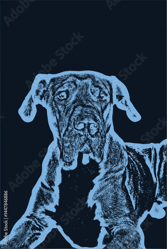 Great dane