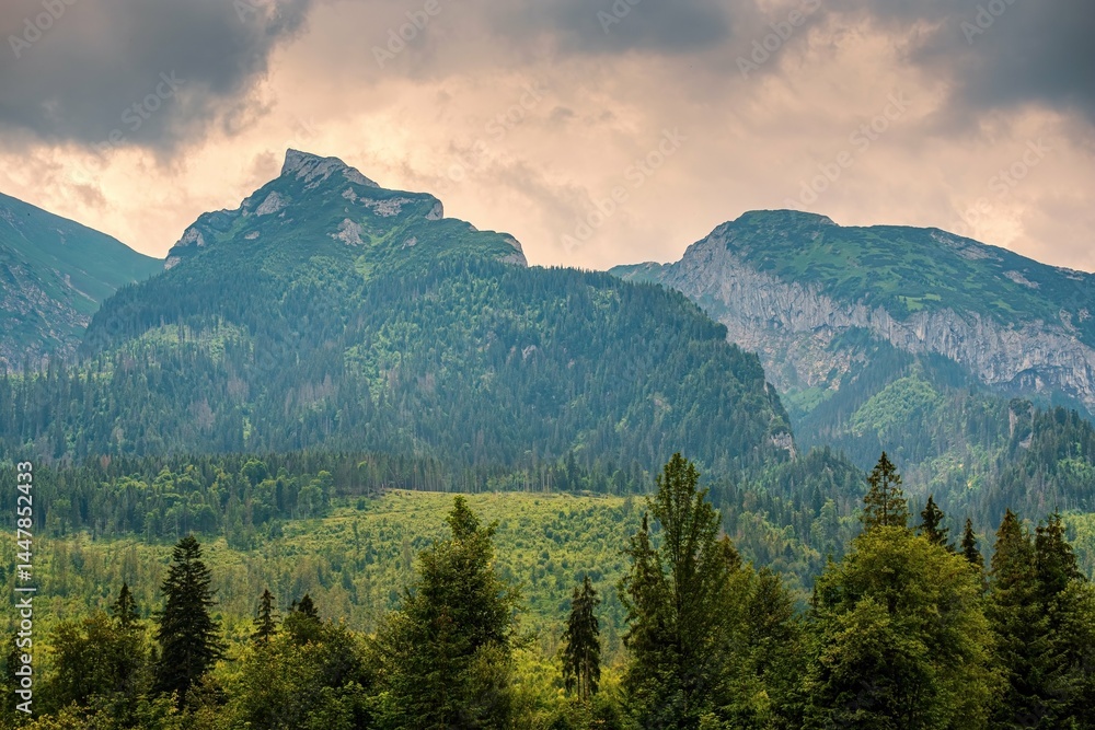 Fototapeta premium Mountain landscape. Scenic view of rocky peaks of High Tatras mountains, Polish-Slovak Podspady, Zdiar, Belianske tatras, border, spring day.
