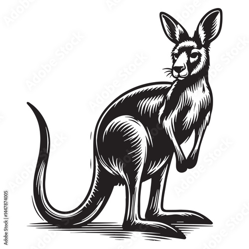 Bold kangaroo silhouette vector ideal for dynamic branding presentations – kangaroo silhouette – kangaroo vector – kangaroo illustration – silhouette of kangaroo

