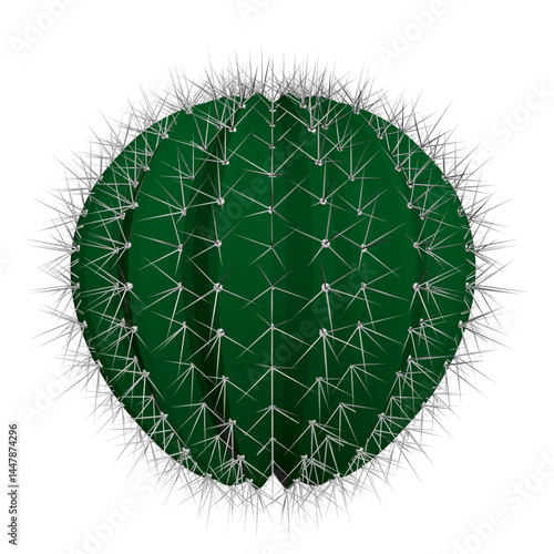 A green cactus with many spines. The spines are very sharp and pointy. The cactus is very small and round. 3D