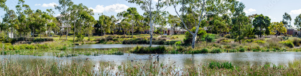 Obraz premium Panoramic view of a natural wetland in Manor Lakes, Melbourne, Australia, with native trees, reeds, and calm water—a suburban environmental integration and sustainable community design.