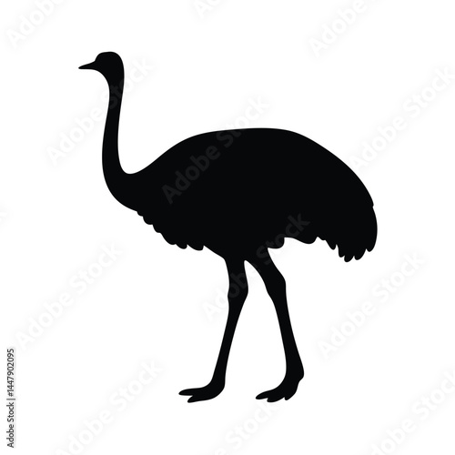 Silhouette of an ostrich bird with long neck, standing on white background