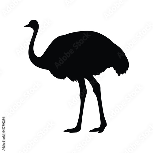 Silhouette of an ostrich bird with long neck, standing on white background