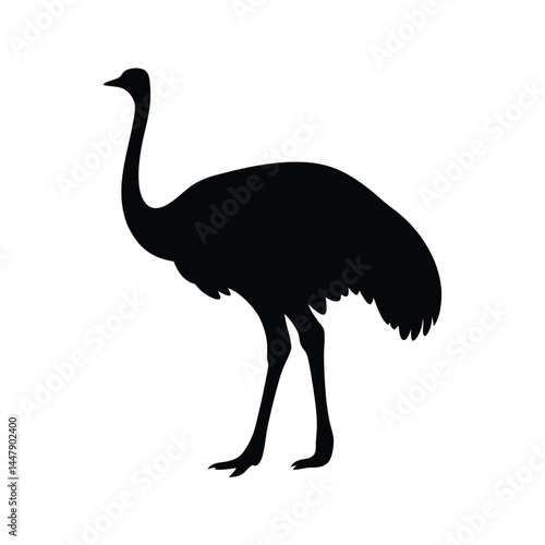 Silhouette of an ostrich bird with long neck, standing on white background