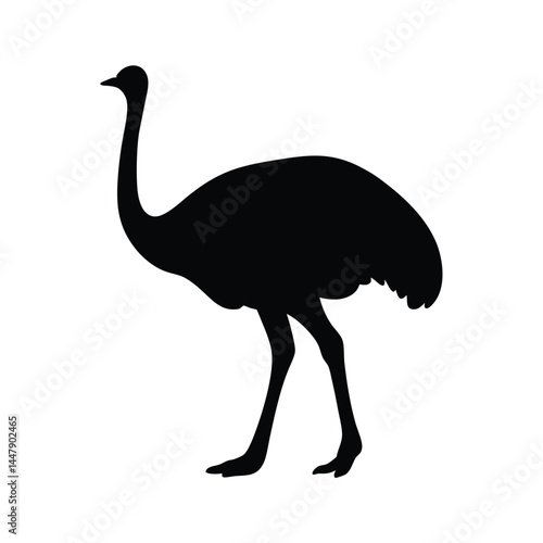 Silhouette of an ostrich bird with long neck, standing on white background