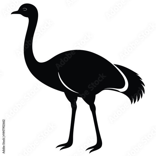 Silhouette of an ostrich bird with long neck, standing on white background