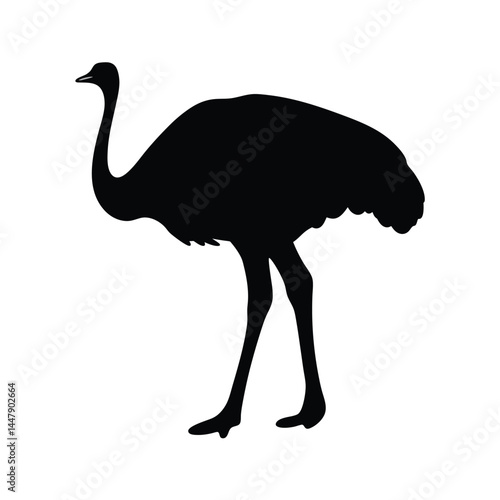 Silhouette of an ostrich bird with long neck, standing on white background