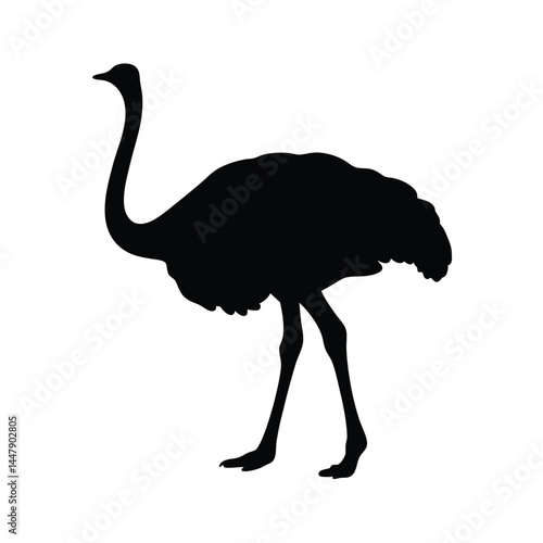Silhouette of an ostrich bird with long neck, standing on white background