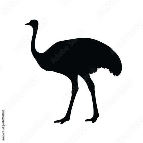 Silhouette of an ostrich bird with long neck, standing on white background