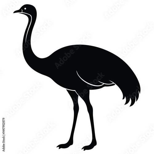 Silhouette of an ostrich bird with long neck, standing on white background