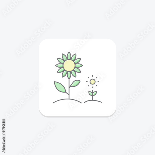 Sunflower Field, vector, pixel perfect, illustrator file