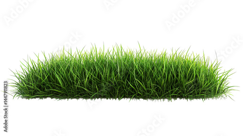 Tuft of vibrant green grass detail, lush blades. cut out transparent