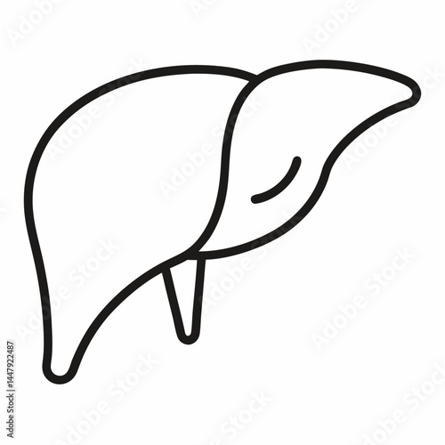 liver outline icon on white background