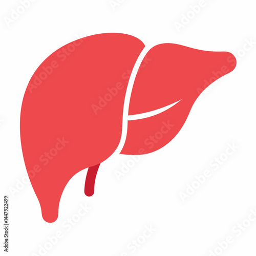 human liver organ vector icon on white background