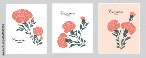 Carnations, vector card set, modern style, can be modified as you wish.