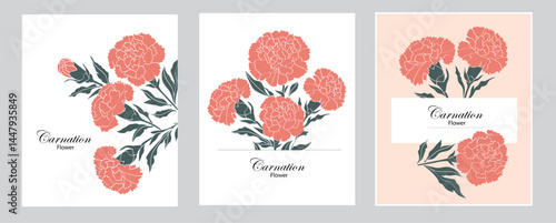 Carnations, vector card set, modern style, can be modified as you wish.