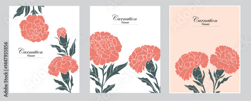 Carnations, vector card set, modern style, can be modified as you wish.