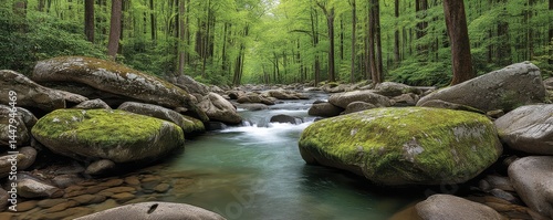 River flowing through the Great Smoky Mountains, lush vegetation, peaceful scene Serene natural beauty - national park wildlife rocks beauty calm