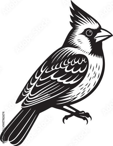 Cardinal on a branch bird silhouette vector
