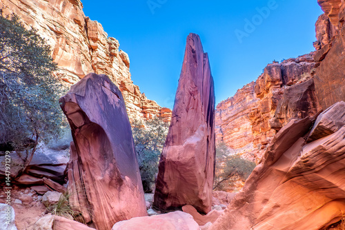 Scenery on the Havasu Falls Trail, Havasupai Indian Reservation, Grand Canyon, Arizona