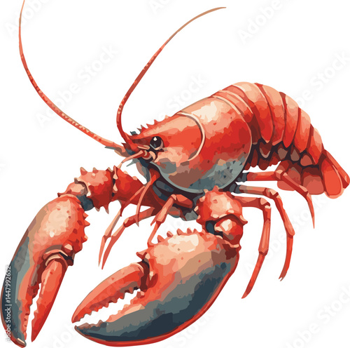 Watercolor illustration of a lobster