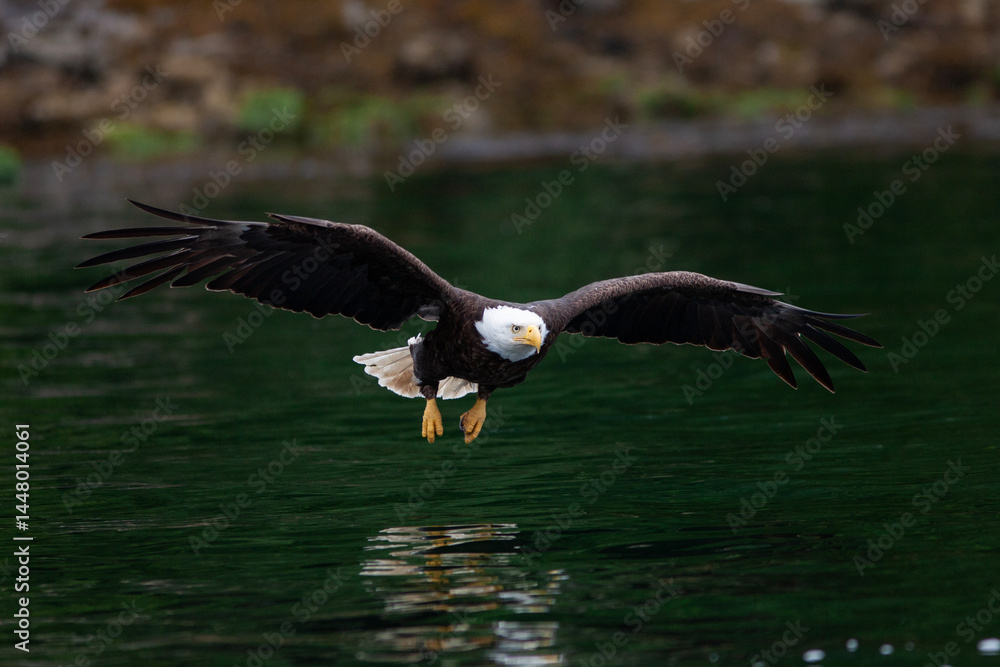 Obraz premium Ile de Vancouver Canada