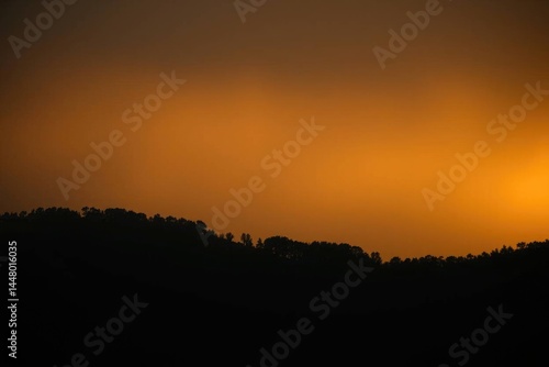 Wallpaper Mural Sunset Silhouette: Dark Trees Against a Fiery Orange Sky Torontodigital.ca