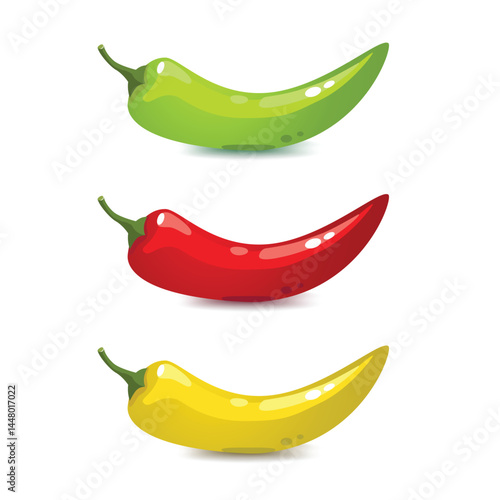 Colorful Chili Peppers Vector Illustration Display