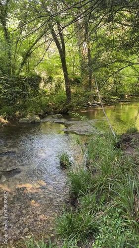 Video verticale d'une petite cascade dans une forêt en 4k