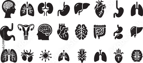 Human organ, anatomy icon set. Vector glyph pictograms of brain, heart, lungs, liver, stomach, intestine, kidney medical, healthcare, and biology concept black silhouette illustration.