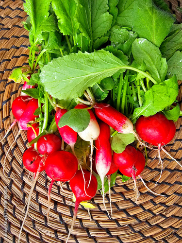 Obraz na płótnie radishes in basket w salonie