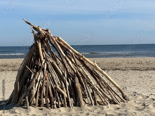 dead tree on the beach