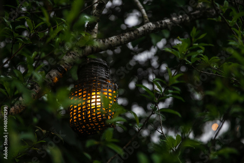 The hand-woven bamboo and rattan lantern hanging on a tree branch