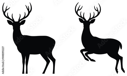 silhouette of deer