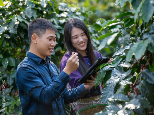 Smart farmer using laptop in green coffee farm sustainable quality control agriculture technology Harvest coffee bean ripe Red berries typing laptop computer check quality control plant coffee tree.