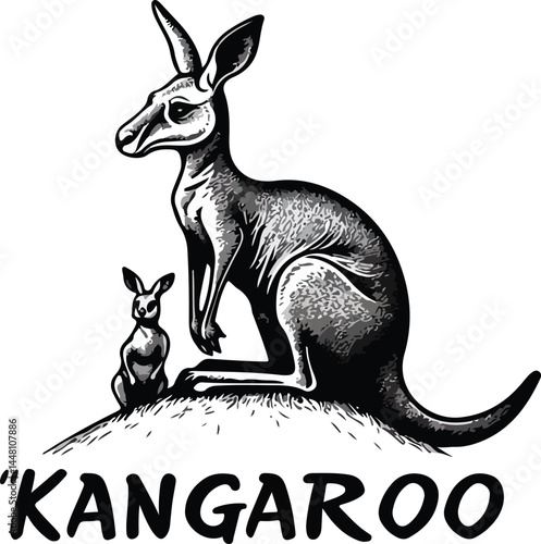 kangaroo vector illustration