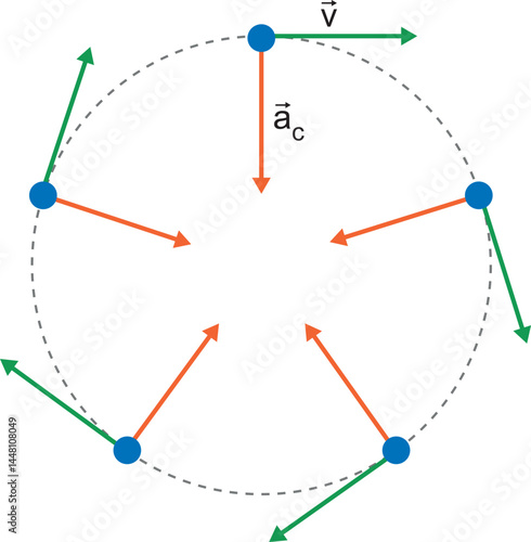 Uniform circular motion representation diagram. Illustration of uniform circular motion, green velocity and orange acceleration shown at five points along the black dashed line circle. White backgroun