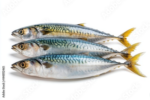 Isolated fresh mackerel on white
