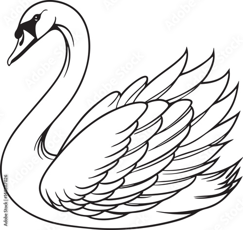 tundra swan bird silhouette vector illustration