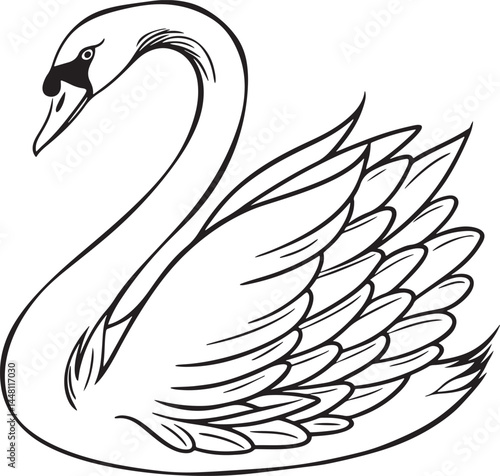 tundra swan bird silhouette vector illustration